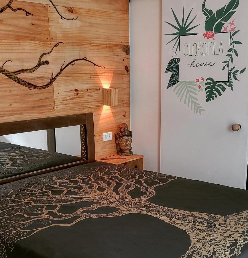 Clorofila House Glamping Naturista Ubatuba Buitenkant foto