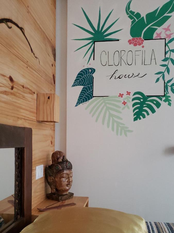 Clorofila House Glamping Naturista Ubatuba Buitenkant foto