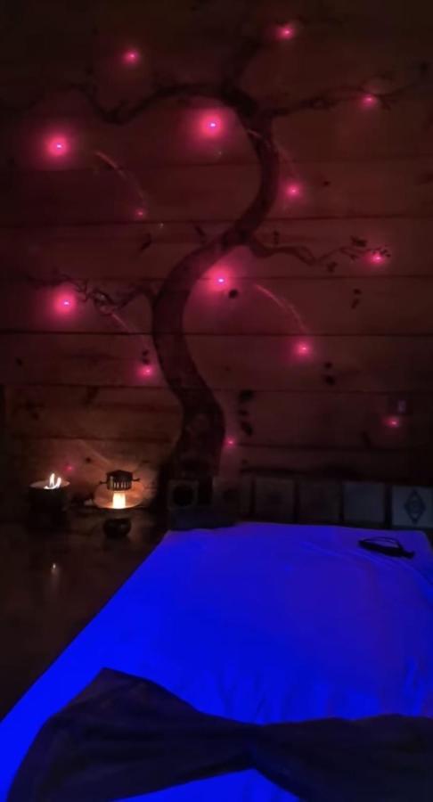 Clorofila House Glamping Naturista Ubatuba Buitenkant foto